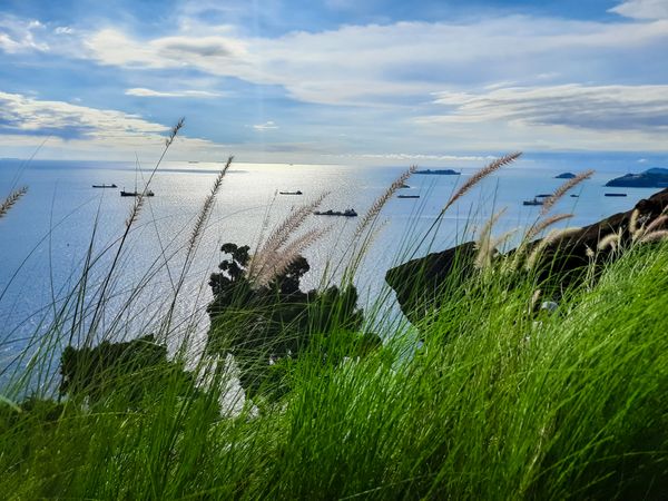 view of the sea from the hill with weed grass in the foreground in the Bukit Lampu area, Teluk Bayur, Padang city