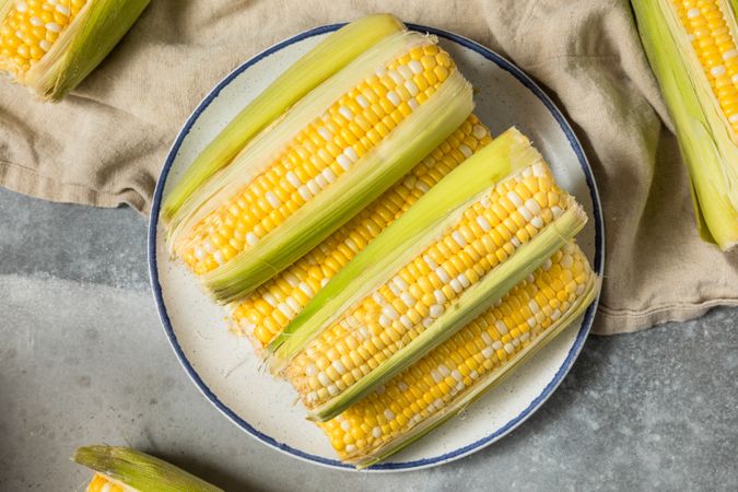 Multi Colored Sweet Corn on the Cob