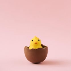 Chick hatched ut of chocolate Easter egg on pastel pink background