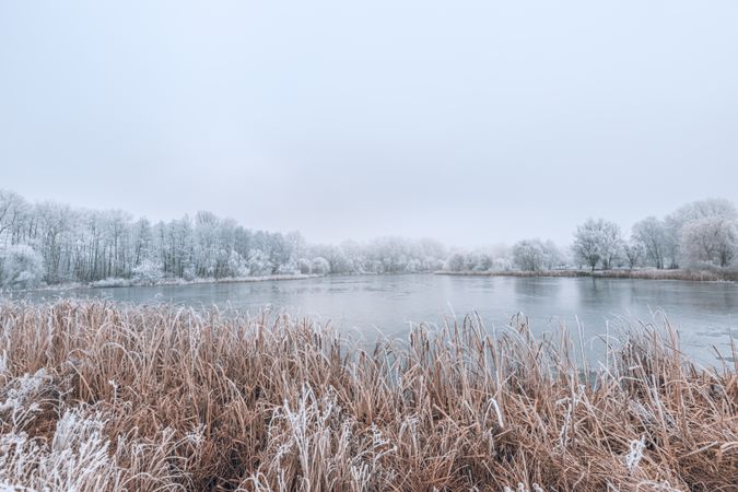 Cold day at the lake with frosted grass in the foreground