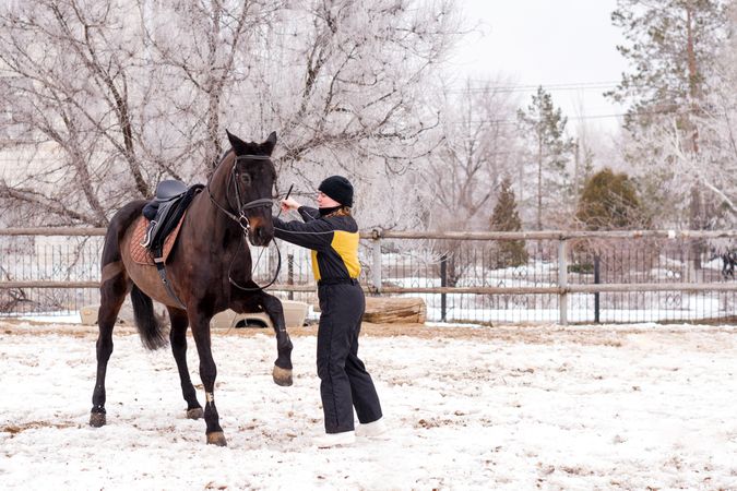 Person leading a lively horse in snow. Dressage.