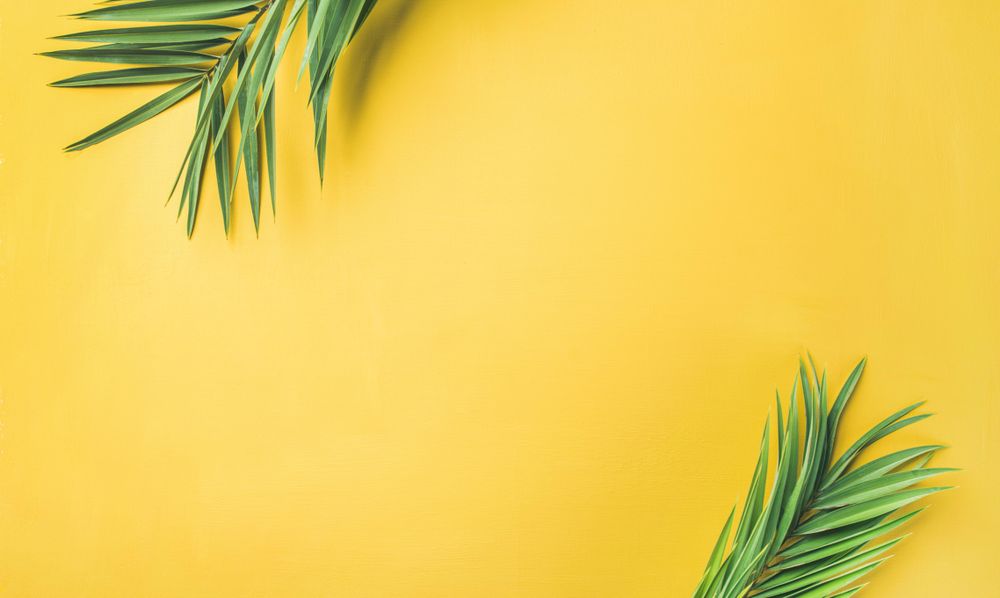 Summer wallpaper or post card concept