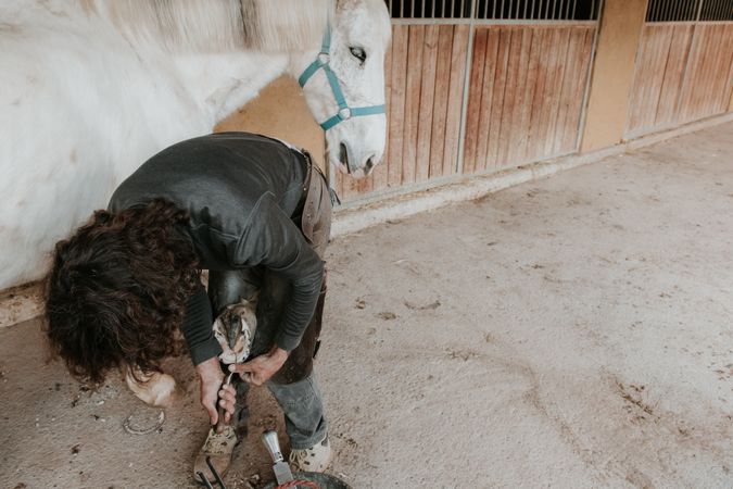 Man shoeing horse near stable