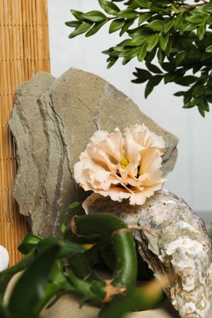Composition for Zen, Relaxation, Harmony and Balance concept