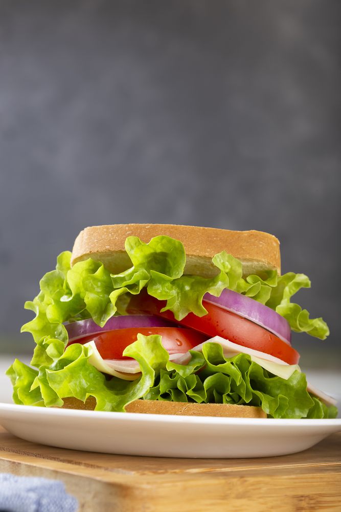 Natural sandwich. Sandwich with cheese, ham, lettuce, tomato and red onion.