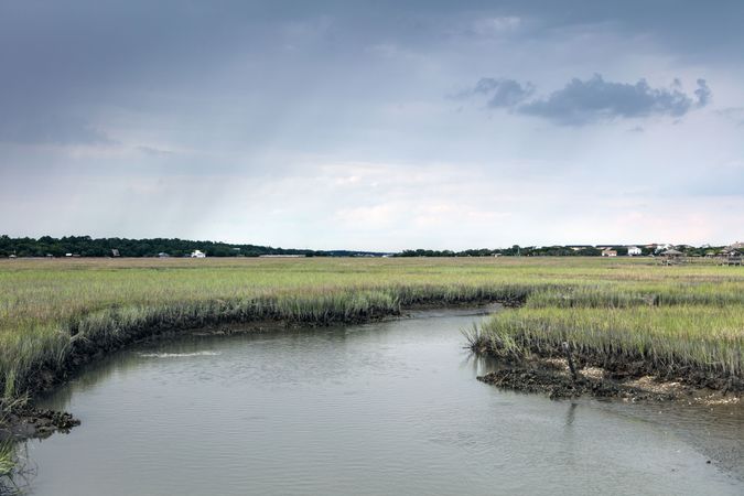 Scene on marshy Pawley's Island, a barrier island in Georgetown County, South Carolina