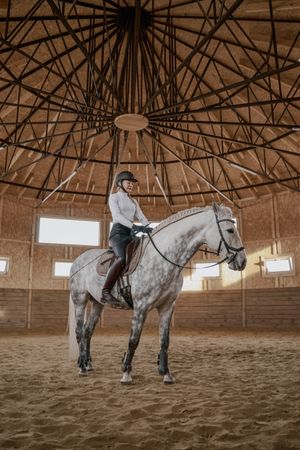 Rider riding dapple gray horse in round arena