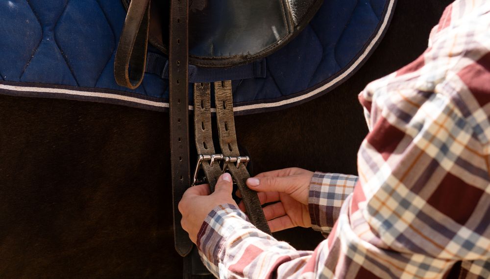Hands adjusting saddle straps on horse.