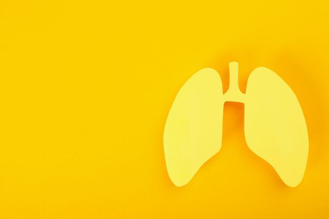 Yellow background with lungs, and copy space