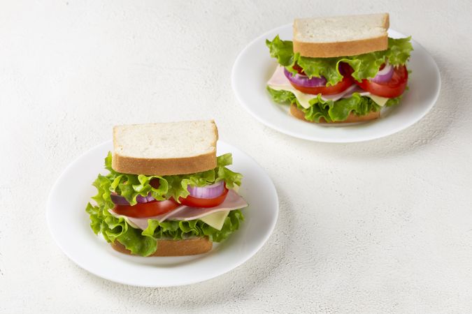 Natural sandwich. Sandwich with cheese, ham, lettuce, tomato and red onion.