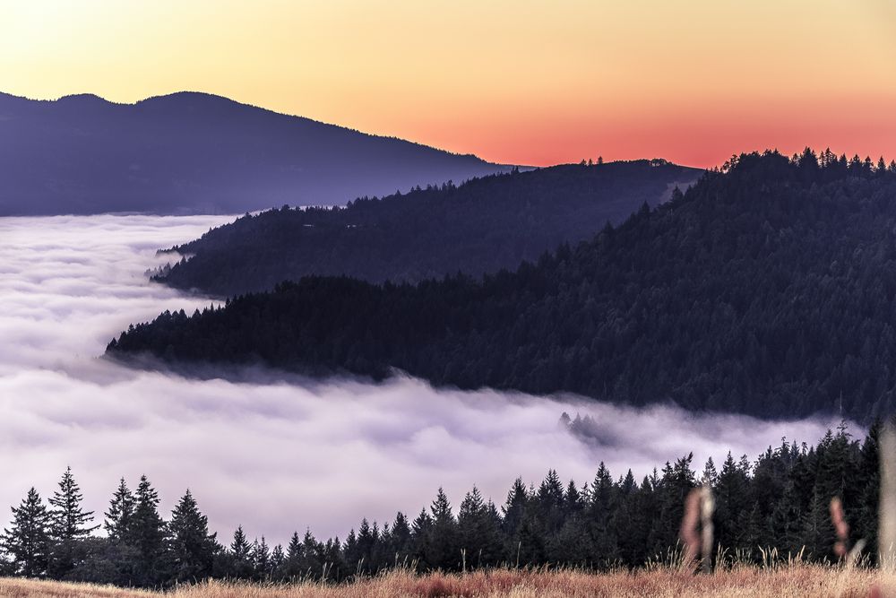 Tree lined cliffs and clouds under bright colorful sunset
