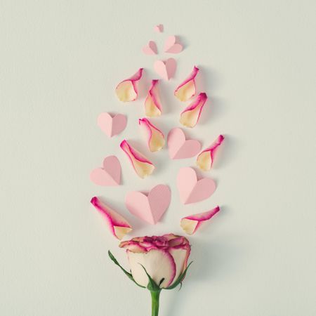Creative layout made with rose petals and pink paper hearts