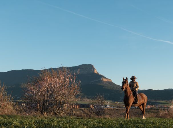 Woman on horse in field