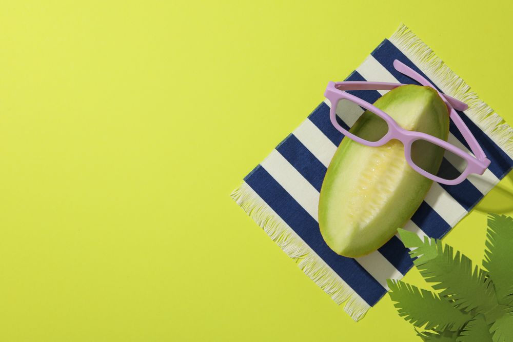 Juicy and tasty summer time fruit concept - melon