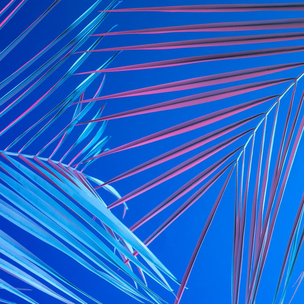 Tropical leaves in bold pink and blue gradient holographic neon colors on bright blue background