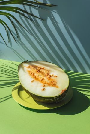 Half Melon toad skin, Colorful summer theme. in blue and green background, shadows of palm leaves