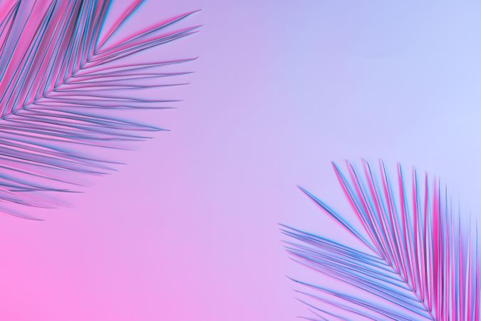 Tropical palm leaves in vibrant gradient holographic colors