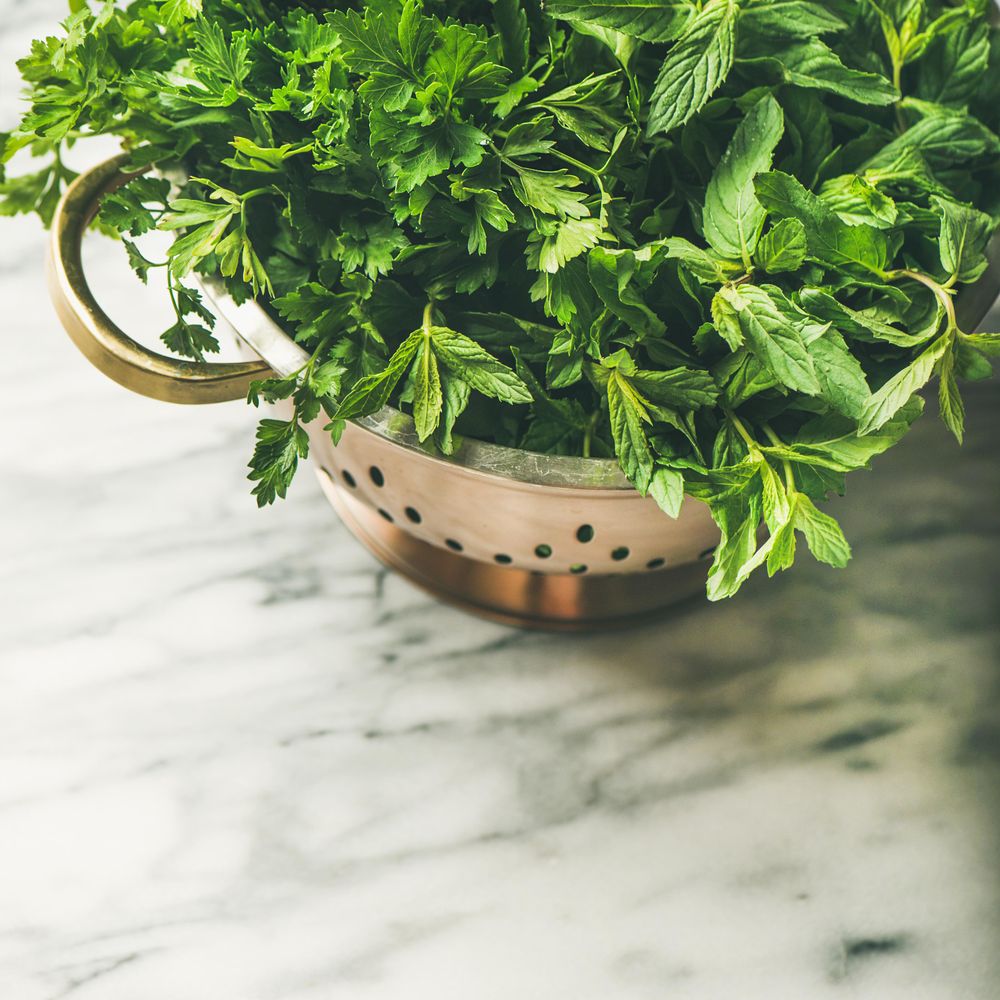 Close up of colander full of fresh green herbs, square crop, copy space