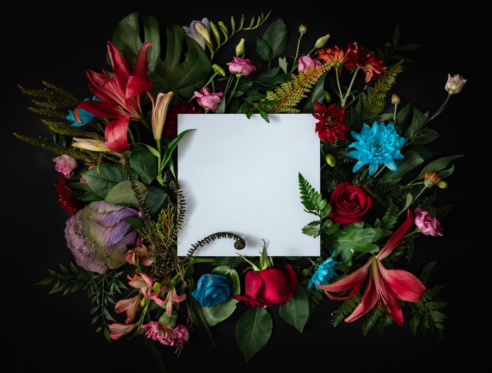 Colorful spring flowers of red, blue, pink, cream around paper square on dark background
