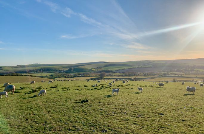 Sunlit upland, sunny pastures, pastoral scene rolling hills England