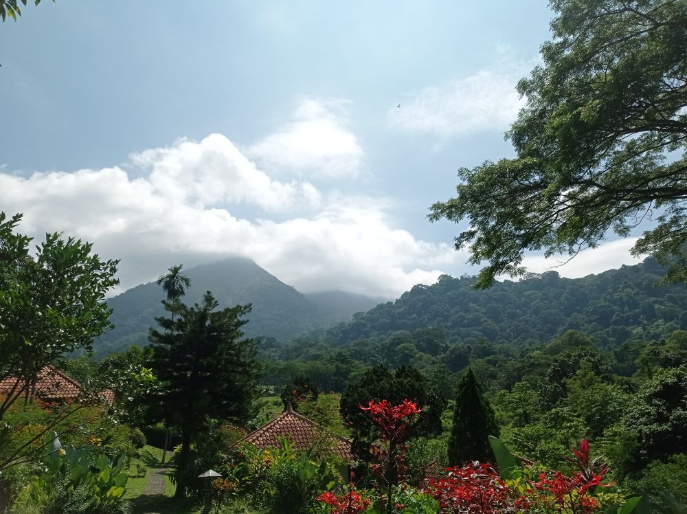Scenic view of flowering plants and mountains against sky