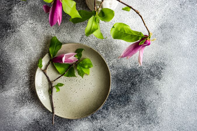 Top view of plate with magnolia branch