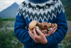 Man in blue wool sweater cradling pile of foraged  mushrooms