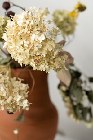 Dried flowers, educational still life for drawing.