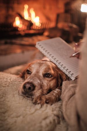 Unrecognizable person with dog writing in notepad