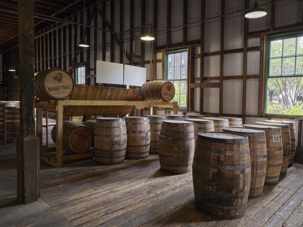 Whiskey in barrels at Buffalo Trace Distillery, Frankfort, Kentucky