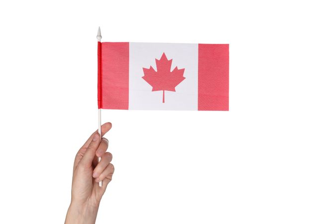 Canadian flag in hand, isolated on plain background
