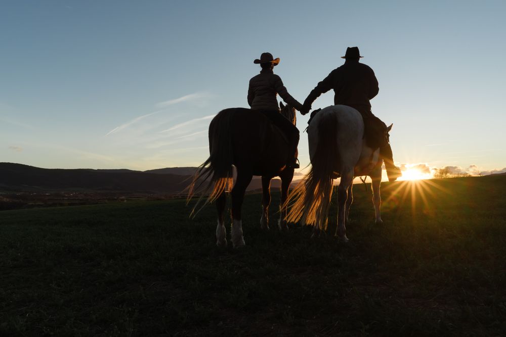 People on horses holding hands