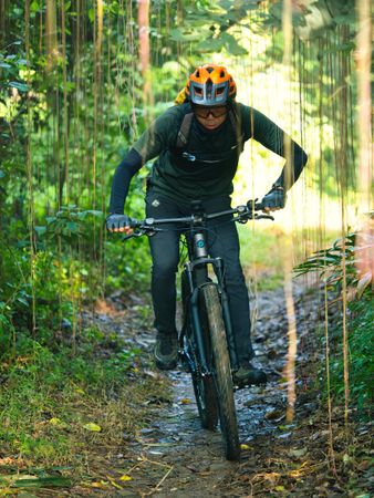 Man riding a bicycle on dirt road between tree