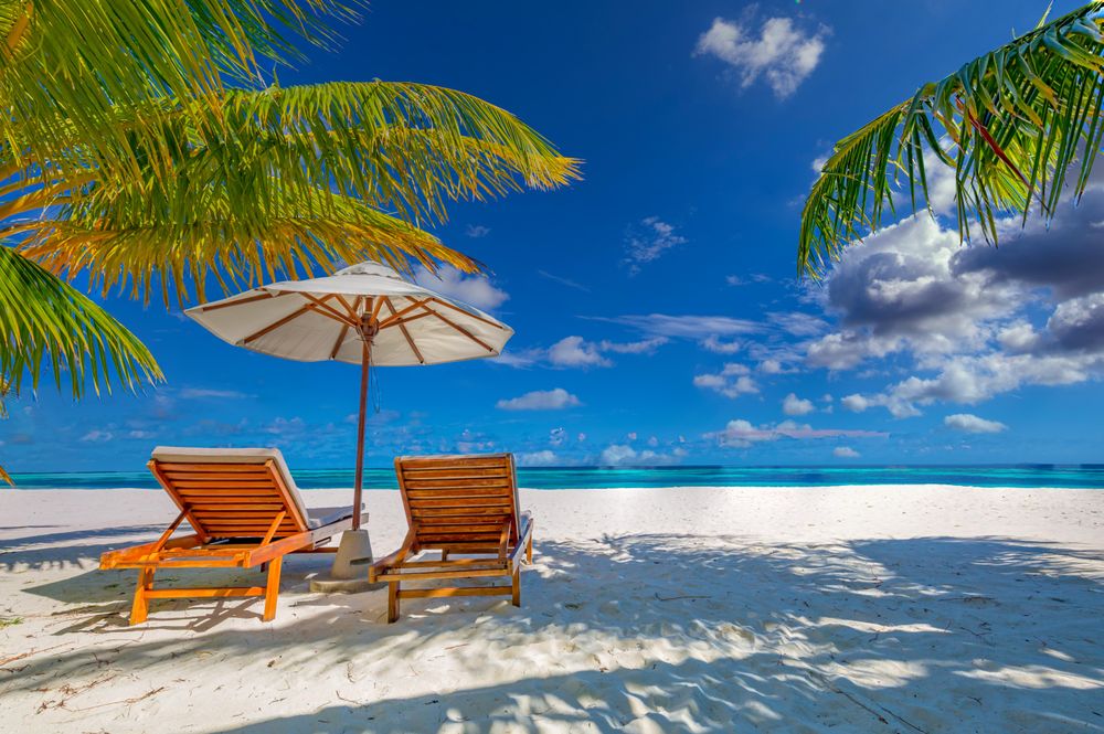 Reclining beach chairs in the shade on the beach