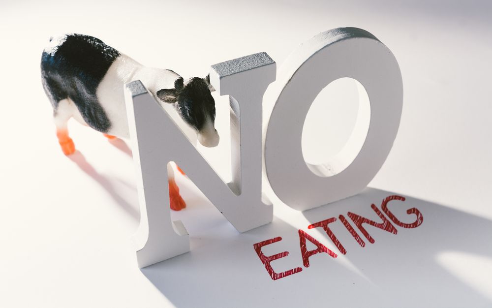 Concept of calling to stop eating animals