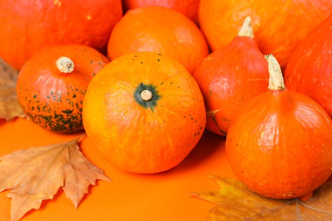 Composition with pumpkins and leaves on orange background, copy space