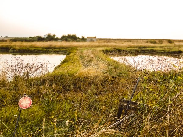 The cabin between salt marshes.