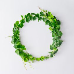 Circle of branches and leaves with copy space