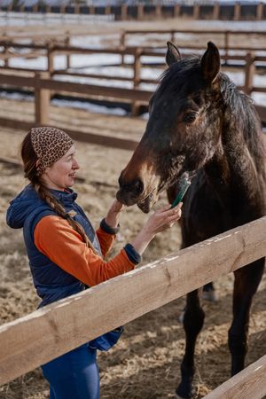 Worker caring for brown horse in open yard