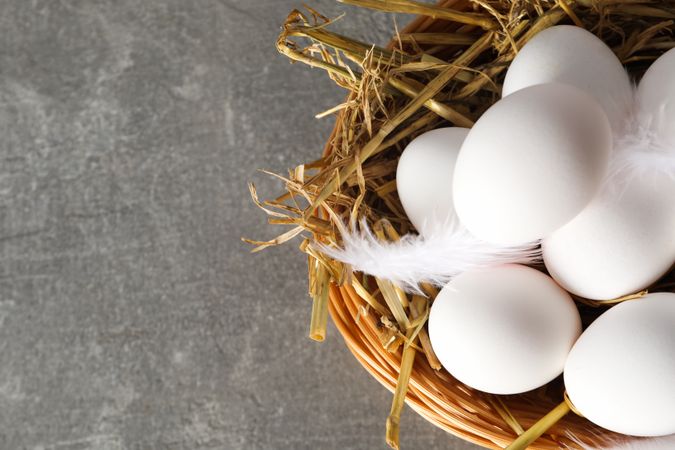 Concept of fresh and natural farm product - eggs, space for text