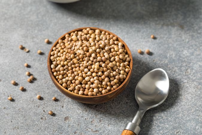 Dry Organic Indian Coriander Seeds