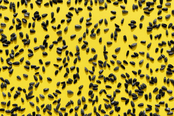 Sunflower seeds on a yellow background, above view