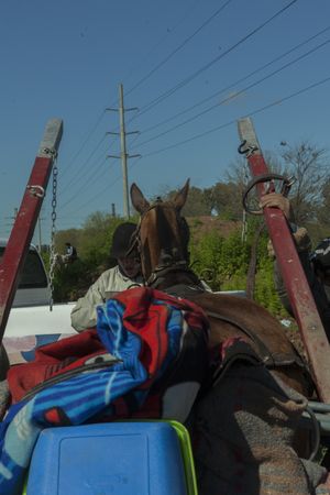 Horse riding and dragging cart on road