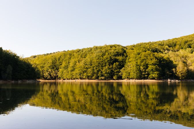 Reflections in the lake of a forest