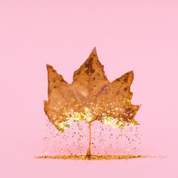 Autumn dry leaf with golden glitter