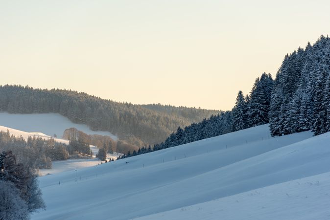 Winter landscape with snow covered pine trees in the mountains