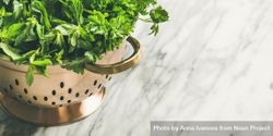 Colander full of fresh green herbs, horizontal composition, copy space 4OEaZ0