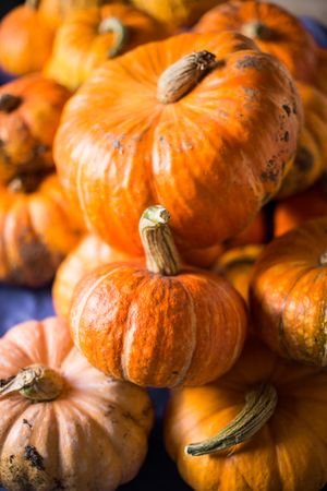 Pile of fresh ripe orange pumpkins on table