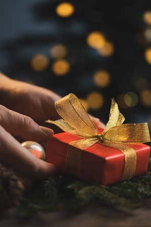 Man holding Christmas gift in hands