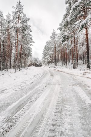 Winter snowy empty country road